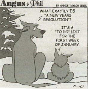 new-years-jan-todo-comic-295x300