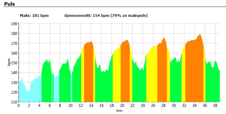 puls